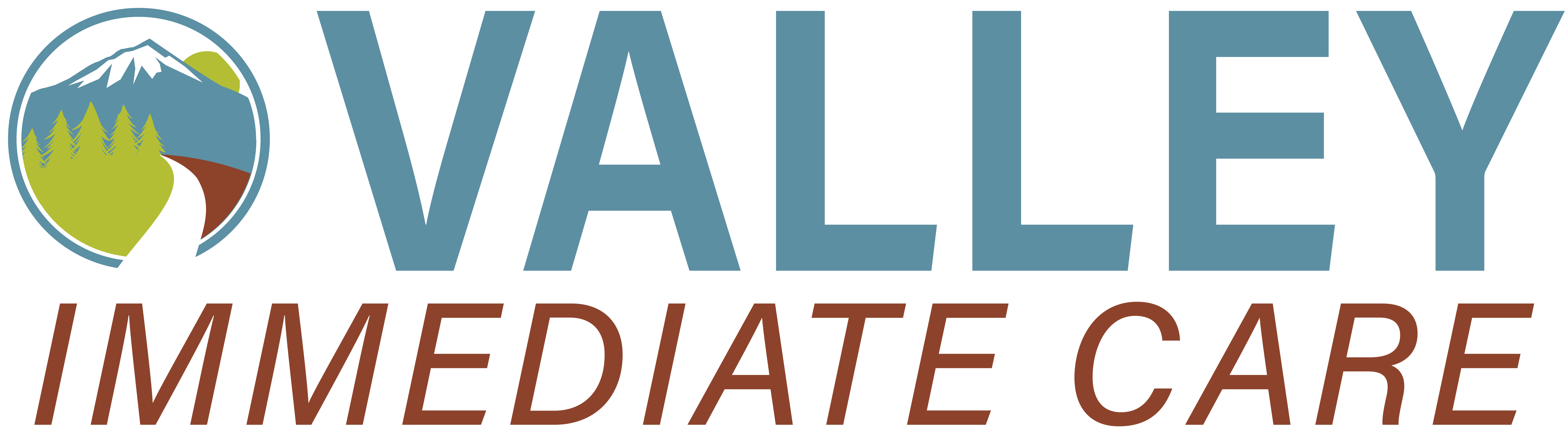 Valley Immediate Care Logo